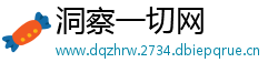 洞察一切网
